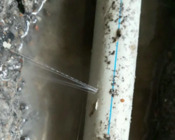 于洪卫生间测漏水多少钱